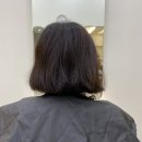 애리헤어컷