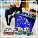 에버크린 | 에버크린 업그레이드 포뮬라 엑스트라 클럼프 사용 후기!