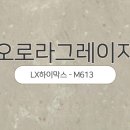 오로라의원 이미지