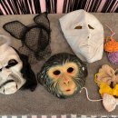 비마인 독 이미지