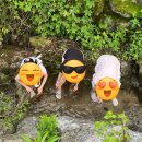 숲속빨간벽돌집 이미지