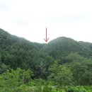 김삿갓면-17 네이버블로그