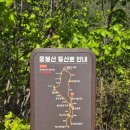 모아이용소 네이버블로그