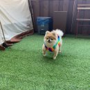 오미네커피 이미지