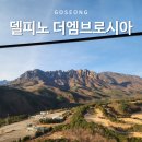 해동카셀프 | 고성 카페 델피노 더엠브로시아 속초 울산바위뷰 오픈런 후기