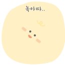 아가다손맛