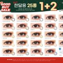오렌즈앤안경나라관저점 이미지