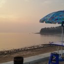 학성바다펜션 이미지