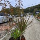 명관농장 이미지