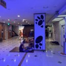 홍대24시불가마사우나 이미지