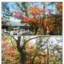 존자암지 이미지