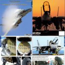 [DACO Publications] Uncovering the Grumman F-14 A/B/D Tomcat (No. 3) 이미지