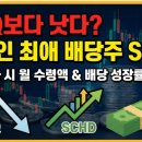 돈의비밀 - 11. 성장률 10, 12, 15의 미래 | "QQQ보다 낫다?" 한국인 최애 배당주 SCHD 1억 투자 시 실제 월 수령액과 배당 성장률의 비밀