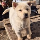 황호농장 이미지