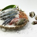 영어조합법인 바다의 아침 이미지