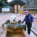 손운산 네이버블로그