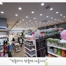 계룡애견 이미지