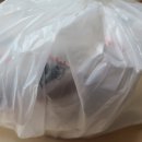 김밥천국조치원역점 | [세종시 조치원] 김밥과 제육덮밥이 맛있는 김밥천국 조치원역점 후기