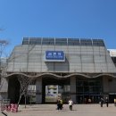 밀리분식