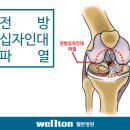 무릎관절내시경, 반월상연골판파열, 전방십자인대파열, 관절경 수술잘하는 곳, 이미지