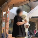 영종도 애견 동반 카페 온앤오프｜내돈내산 후기, 강아지랑 가기 좋은 감성카페 추천