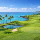 남부권 골프연습장 이미지