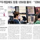브이아이자전거