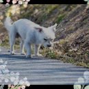 외도센터-1 네이버블로그