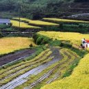 설천면120 이미지