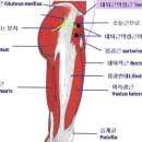 라인5차 이미지