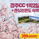 경주여행사