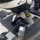 코지동물의료센터 서구청점 이미지