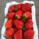 솔내음 | 부여 한정식맛집 솔내음레스토랑 주차 세트메뉴