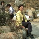 김종금 Daum카페