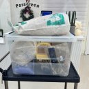 패러그린샵 명지점 | 패러그린샵 대연점 부산 골든 햄스터 분양 방문후기(내돈내산)