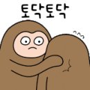 맘스아동복 이미지