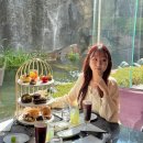 머스트비 | 롯데호텔 서울 페닌슐라 라운지 : 머스트비 샤이닝 초코 주말 창가석 내돈내산 솔직후기