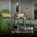 소서원 | 서울 이태원 피스타치오 카페 소서원 두바이초콜릿 두바이 티라미수 디저트 리뷰 솔직후기