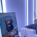 반피나(banpina) | 남양주 애견카페 <반피나> 멍푸치노와 멍팬케이크가 있는 남양주 애견 동반 카페 추천!