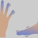 비경한의원 | 행신동 화정동 능곡동 도내동 수족냉증, 한의원에서는 어떻게 치료하나요?