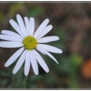 갈모봉산림욕장 이미지