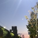 순이네야식 이미지