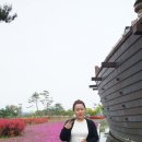 완도이모네