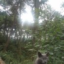 영롱농장 이미지