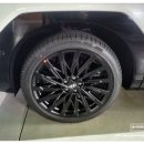 (주)칸렌트카 울산영업소 | 울산 출장·여행 필수, 칸렌트카 울산영업소 솔직 이용 후기