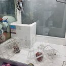 쇼미더뽑기방 이미지