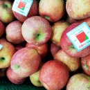 청과물처리장 이미지