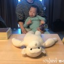 비고리조트 18 이미지