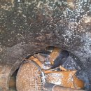 매자리길 이미지