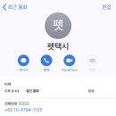 펫택시 써니호 이미지